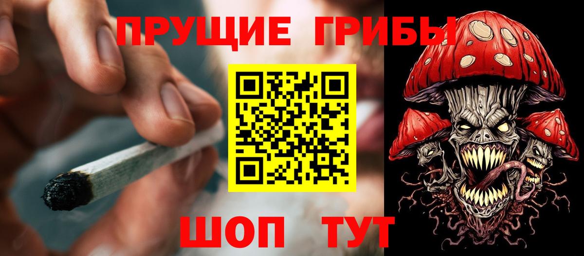 Псилоцибиновые грибы прущие грибы  Вход с VPN  Дюртюли 